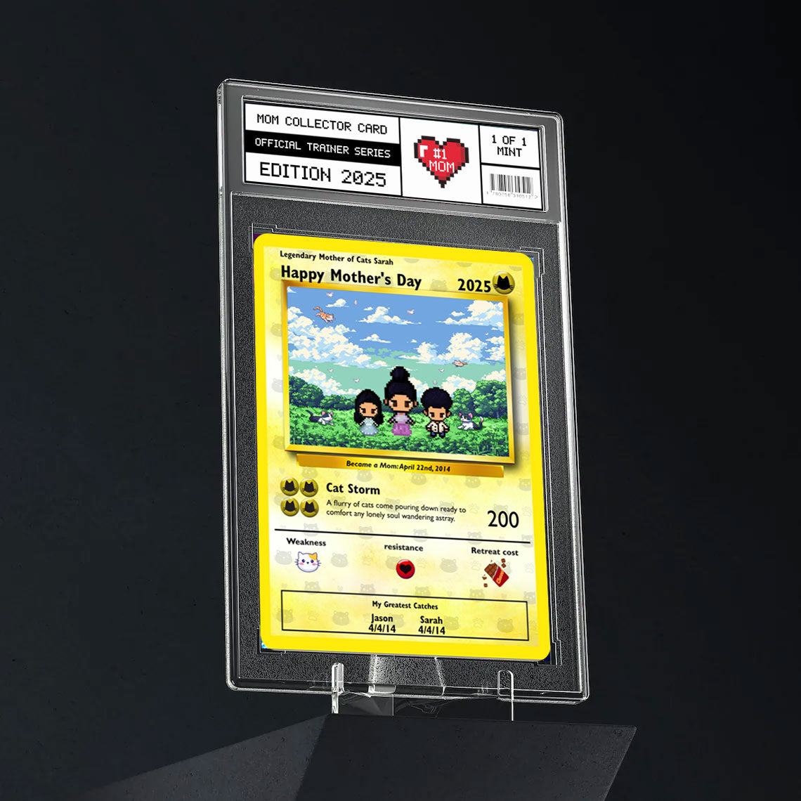 Cat Mom - Build Your Own