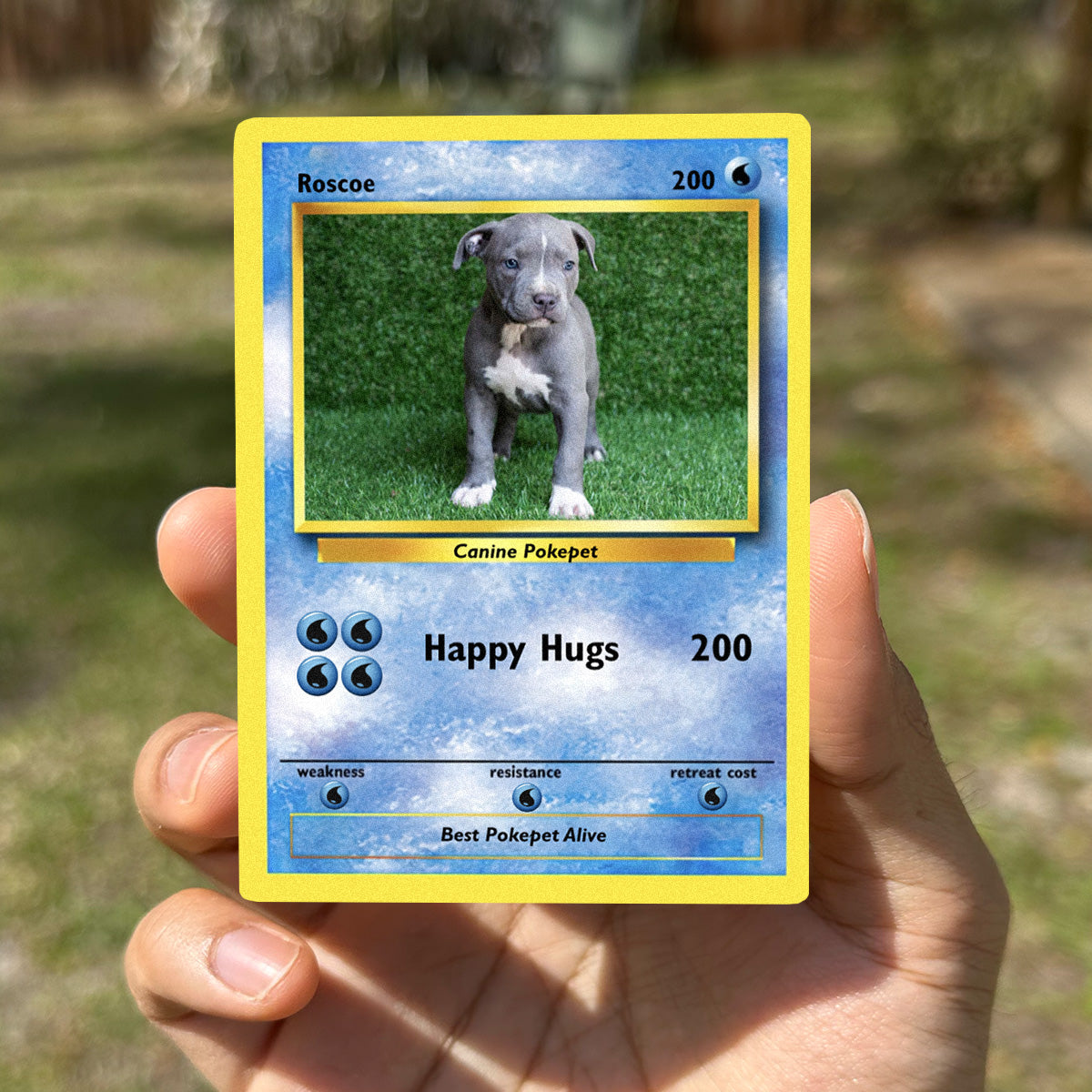 Pokepet Photo Card