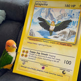 Pochepet