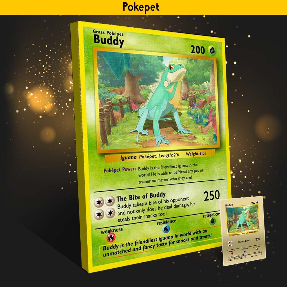 Pochepet