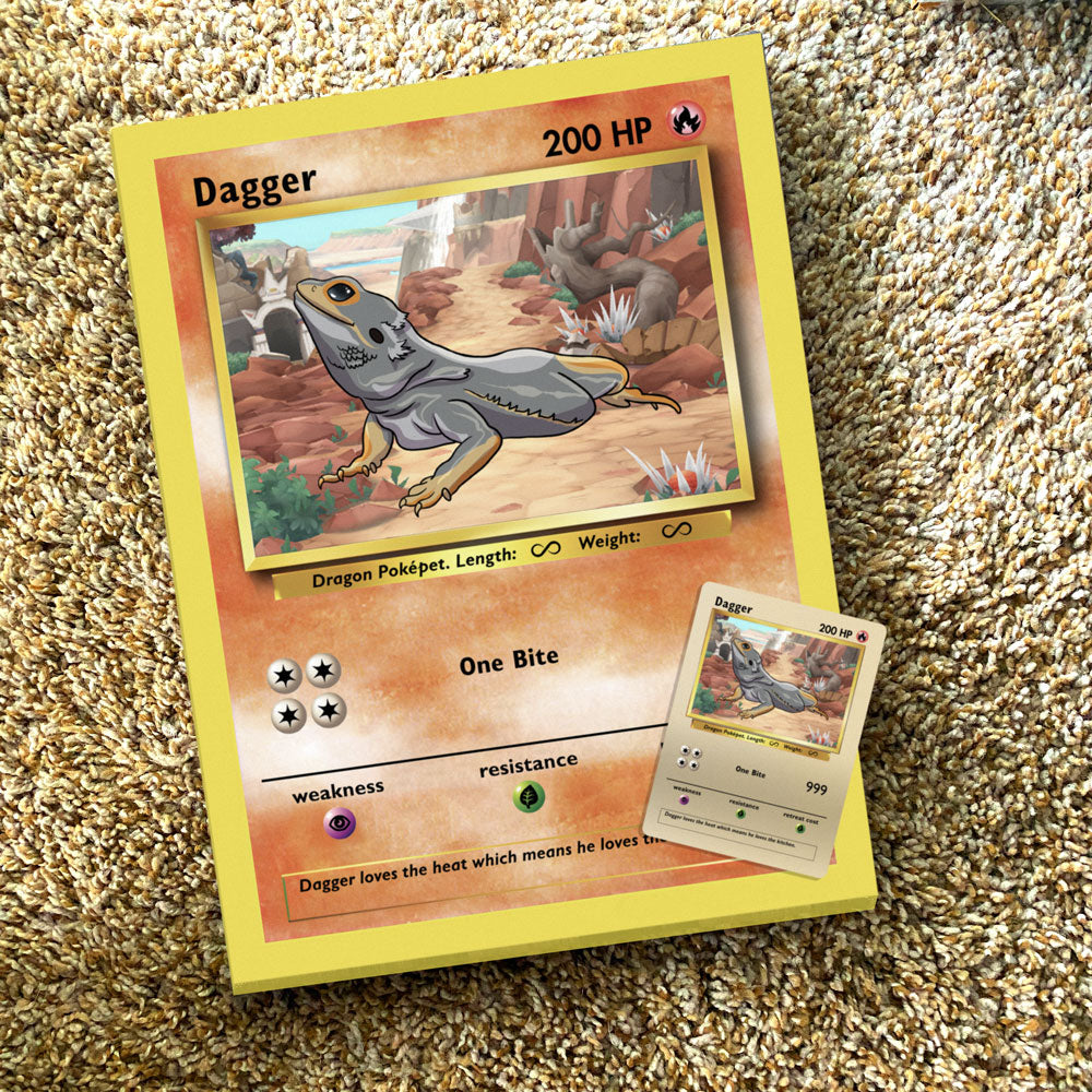 Pochepet